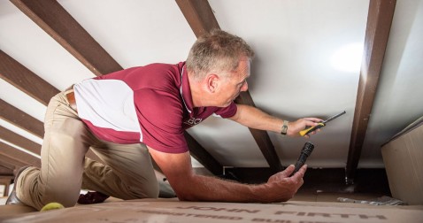 Timber & Pest Inspections Timber & Pest Inspections